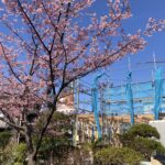 鎌倉プロジェクトの建方
